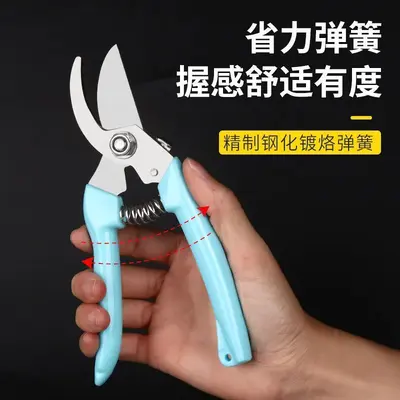 Florist scissors for flower arrangements, pruning shears, garden pruning branches, flower branches, bonsai flowers, fruit picking tool