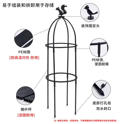 European-Style Garden Climbing Trellis for Roses and Clematis