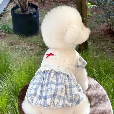Dog Winter Dress, Fleece-Lined Lamb Wool Pumpkin Skirt