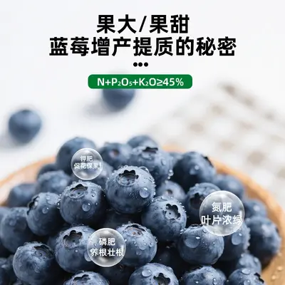 Organic Fertilizer for Blueberries, for Fruits and Vegetables, Long-Lasting
