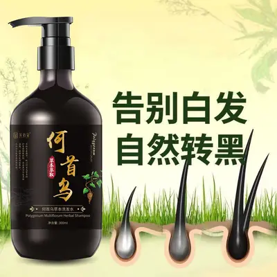 Polygonum Multiflorum Herbal Shampoo, Gray to Black Hair Reversal, Anti-Dandruff - 6