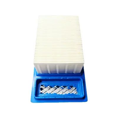 Wacker BS6021 Lawn Mower Air Filter 0157193 / W157193