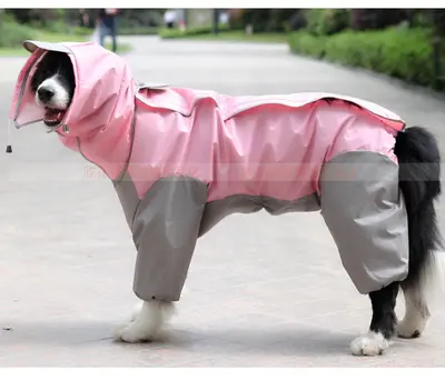 Reflective Dog Raincoat, One-Piece Overall - 12
