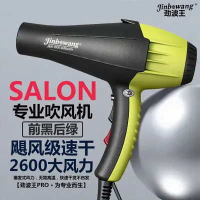 Jinbo Wang 9930 Professional Hair Dryer, Blue Light, Negative Ion - 12