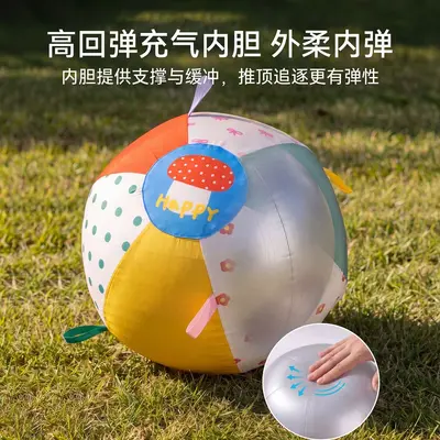 Giant Dog Ball for Large Dogs, Outdoor Chase Toy