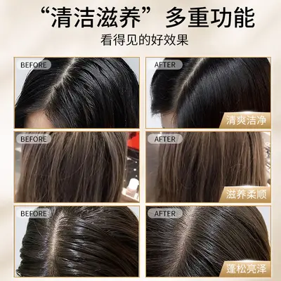 Großhandel Parfüm Duft Shampoo Kamelie erfrischend antischuppen ölkontrollierend geschmeidig Aminosäure Haarshampoo ab einem Karton Mindestabnahme