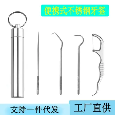 304 Stainless Steel Toothpick Set with Portable Tube