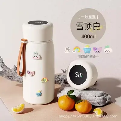 Large Capacity Stainless Steel Insulated Bottle, Portable, with Tea Infuser - 11