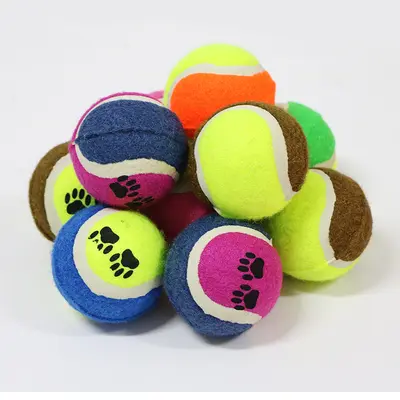 Haustier Welpen Hundespielzeug Ball quietschend Zahnpflege bissfest Training Teddy Bichon Welpe Katzenspielzeug Haustierbedarf Hundekauspielzeug