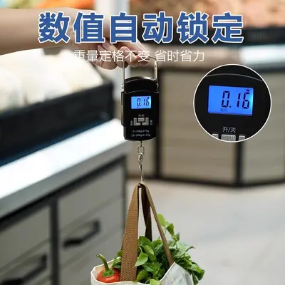 Portable electronic hanging scale, high precision