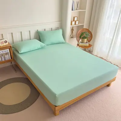 Sınır Ötesi Kalın Tüylü Fitted Sheet Çarşaf Su Yıkamalı Yatak Örtüsü Yatak Takımı Yatak Koruyucu Isıl Transfer Baskılı Özel Tasarım Kaynak Fabrika Toptan Satış - 10