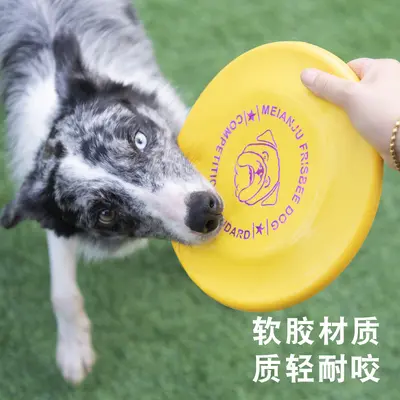 Pet Training Frisbee, Bite-Resistant Floating Dog Toy