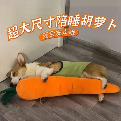 Squeaky Plush Carrot Dog Toy, Durable and Chew Resistant - 2