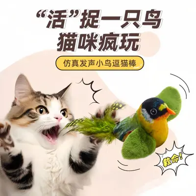 Kedi oyuncağı kuş sesi, interaktif, yavru kedi için