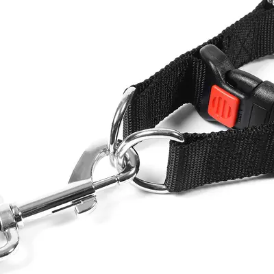 Detachable Metal Dog Training Chain Collar with Iron Buckle