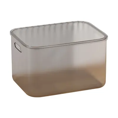 Transparent Storage Box with Lid, Rectangular Organizer for Toys and Clothes