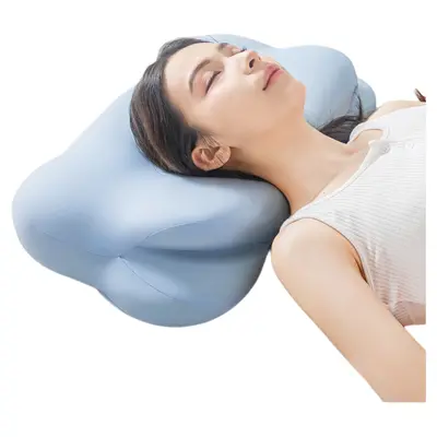 Cervical Spine Memory Foam Neck Pillow Pair - 5
