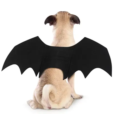 Halloween-Kostüm für Katzen und Hunde, lustiges Verkleidungskostüm mit Fledermausflügeln
