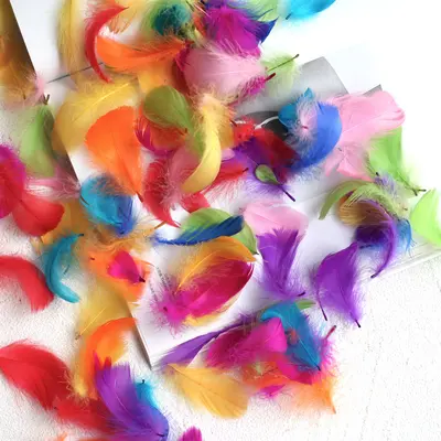 Colored Small Goose Feathers as Gift Box Filling Material - 8