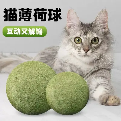 Oversized Catnip Ball Cat Toy for Kittens, Chew-Resistant - 1