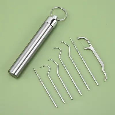 304 Stainless Steel Toothpick Set, Dental Floss, Portable Storage Tube