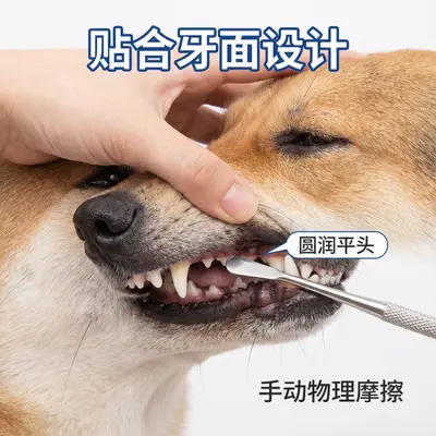 Zahnsteinentferner für Hunde, Zahnreinigung und Zahnsteinentfernung, Haustier-Zahnreinigung, Geruchsentferner für Hunde-Mund, Teddybär-Mundhygiene, Hundereinigungszubehör