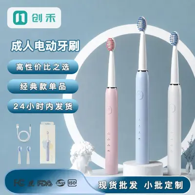 Adult Sonic Electric Toothbrush, USB Rechargeable, Multi-Speed