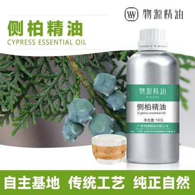 Platycladus Leaf Extract Hair Nourishing Oil, Herbal Essential Oil - 2