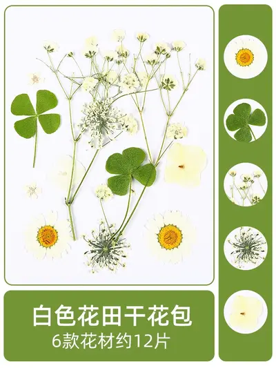 Dried and Pressed Flower DIY Material Pack for Resin Crafts - 13