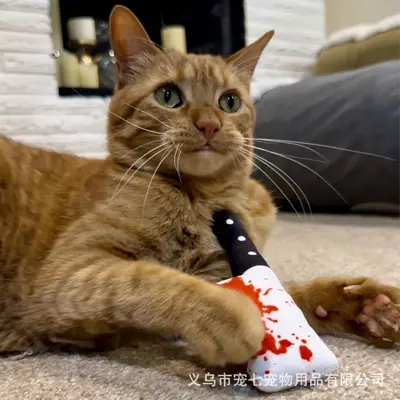 跨境爆款万圣节猫玩具热销款内含猫薄荷自嗨解闷狗狗玩具厂家直销
