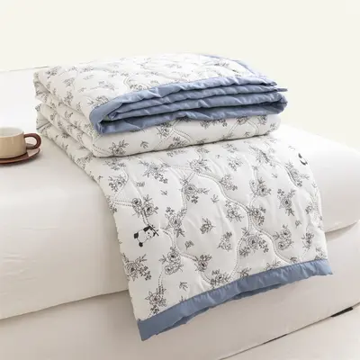 Air conditioning comforter summer cooling quilt machine washable summer single and double 2025 new summer student dormitory thin quilt cross-border - 9