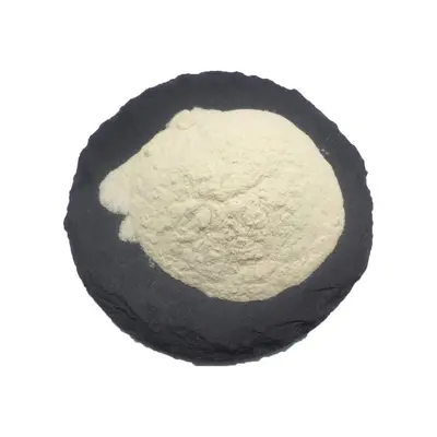 Rice Protein Powder, Hydrolyzed Protein 500g - 3