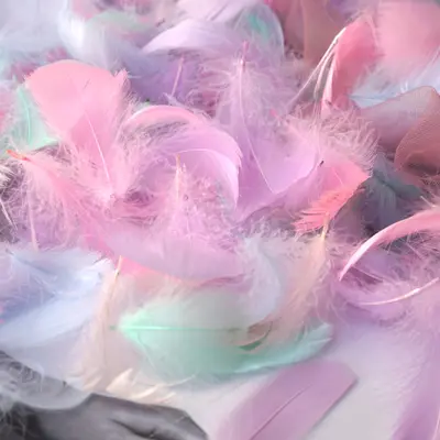 Macaron Colorful Small Feather Small Floating Goose Feather Wedding Festival Event Stage Decoration Gift Box Filling Material Wholesale