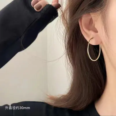 2026新款爆款圈圈耳环女轻奢高级感素圈耳扣耳饰品夸张大耳圈耳钉 - 12