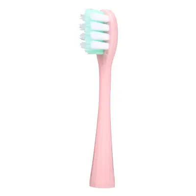 Replacement Brush Heads for US Series Electric Toothbrushes, Adult - 10