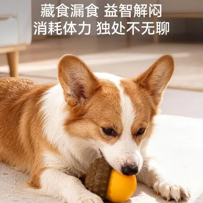 Interactive Slow Feeder Treat Ball, Hidden Food Toy for Dogs and Cats - 5