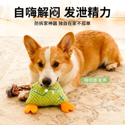 Orta ve küçük ırk köpekler için ısırmaya dayanıklı kadife peluş köpek oyuncağı
