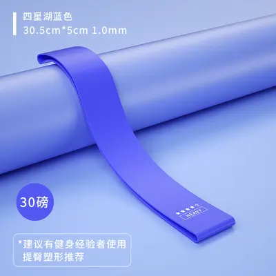 Resistance Band for Squats and Booty Training, Women's Hip Loop Strength Band - 10