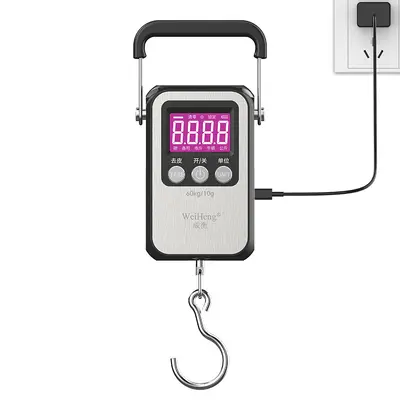 Portable Handheld Electronic Scale Model A35, Precise, Hanging Spring Scale - 8