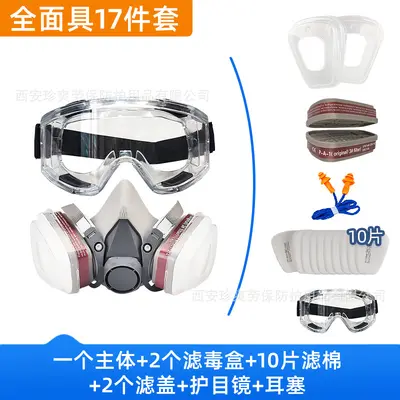 CE6200 Gas Mask with Dust Goggles, Protection Against Dust and Fumes - 10