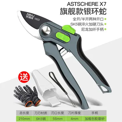 Arrizo Gartenschere SK5 - 12