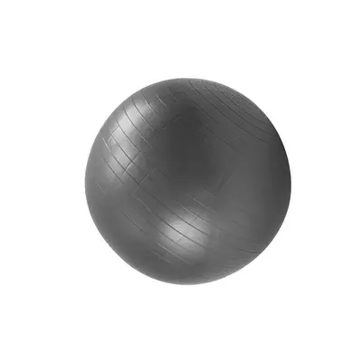 PVC Kalın Mat Yoga Topu 55 cm 65 cm 75 cm Fitness Topu - 10
