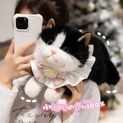 Simüle Ragdoll Kedi Peluş Oyuncak, 2026 - 4