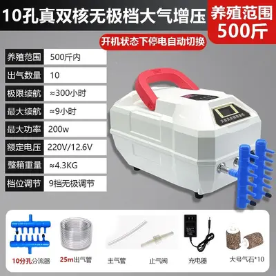Rechargeable Outdoor Oxygen Pump, Lithium Battery, AC/DC - 10