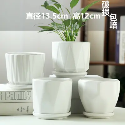 Ceramic Flower Pot, Large and Medium Sizes, White, for Phalaenopsis and Pothos - 10