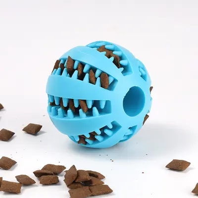 Multifunctional Pet Slow Feeder Ball and Bowl - 6
