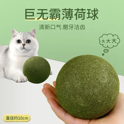 Oversized Catnip Ball, Teeth-Cleaning Cat Grass Ball - 1