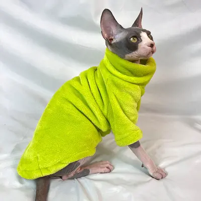 Thickened Autumn-Winter Clothing for Hairless Cats, Fleece-Lined