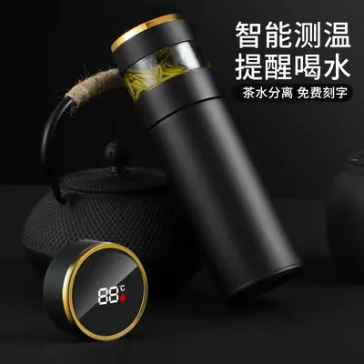 316 Stainless Steel Insulated Water Bottle with Tea Infuser, Men's Cup