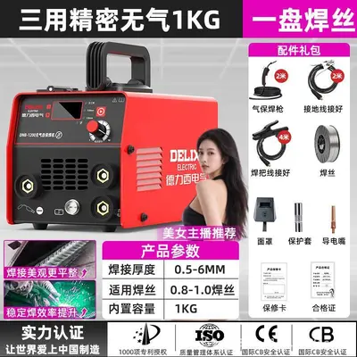 Delixi 220V Multifunction Gasless Welding Machine, Portable, Industrial Grade - 9